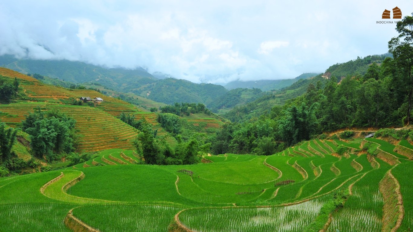 The Ultimate Guide to the Lao Chai Ta Van Bike Tour: Pedaling Through Sapa’s Emerald Heartland